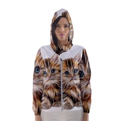 Kitten Mammal Animal Young Cat Hooded Windbreaker (women)