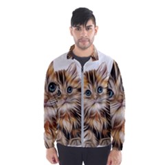 Kitten Mammal Animal Young Cat Windbreaker (men)