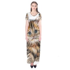 Kitten Mammal Animal Young Cat Short Sleeve Maxi Dress