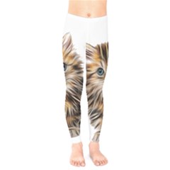 Kitten Mammal Animal Young Cat Kids  Legging