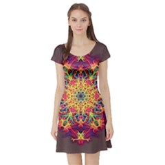 Joyful Living Short Sleeve Skater Dress by aumaraspiritart