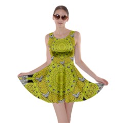 Sunshine And Silver Hearts In Love Skater Dress by pepitasart