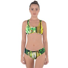 Old Tree And House With An Arch 4 Criss Cross Bikini Set by bestdesignintheworld