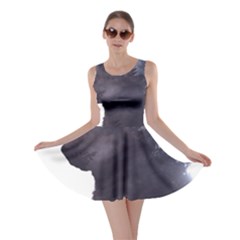 Grey Wolf  Skater Dress by StarvingArtisan