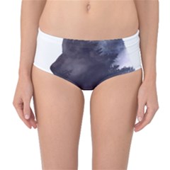 Grey Wolf  Mid-waist Bikini Bottoms by StarvingArtisan