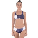 Grey Wolf  Criss Cross Bikini Set View1