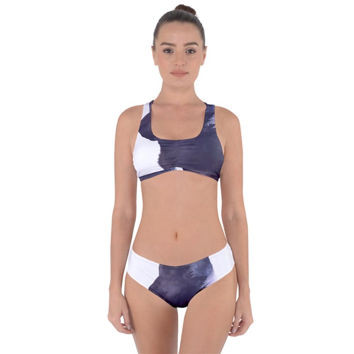 Grey Wolf  Criss Cross Bikini Set