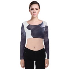 Grey Wolf  Velvet Crop Top