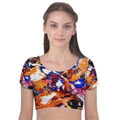 Smashed Butterfly Velvet Short Sleeve Crop Top  by bestdesignintheworld