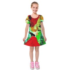 Humidity 4 Kids  Short Sleeve Velvet Dress by bestdesignintheworld