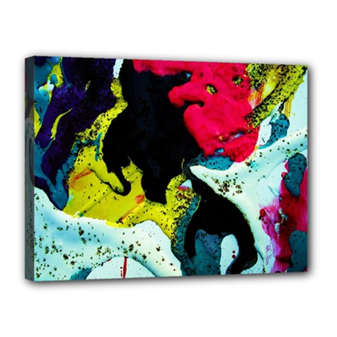 Buffalo Vision Canvas 16  X 12  by bestdesignintheworld