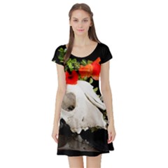 Animal Skull With A Wreath Of Wild Flower Short Sleeve Skater Dress