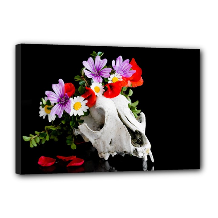 Animal Skull With A Wreath Of Wild Flower Canvas 18  x 12 