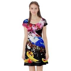 Smashed Butterfly 5 Short Sleeve Skater Dress by bestdesignintheworld