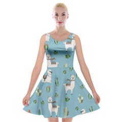 Lama And Cactus Pattern Velvet Skater Dress by Valentinaart