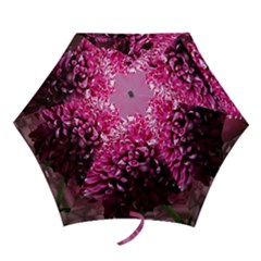 Majestic Flowers Mini Folding Umbrellas by LoolyElzayat