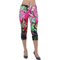 Flamingo   Child Of Dawn 9 Lightweight Velour Capri Leggings  View1