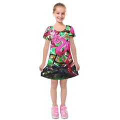 Flamingo   Child Of Dawn 9 Kids  Short Sleeve Velvet Dress by bestdesignintheworld