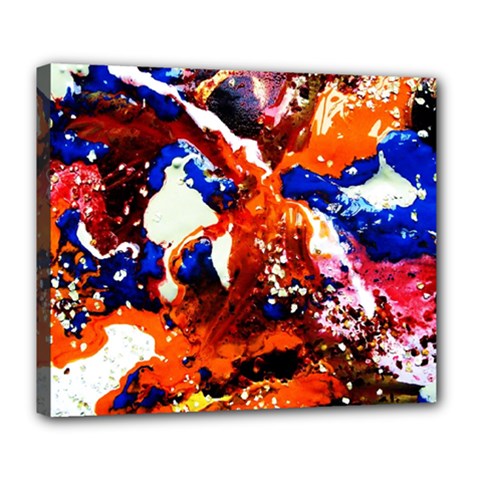 Smashed Butterfly 1 Deluxe Canvas 24  X 20   by bestdesignintheworld