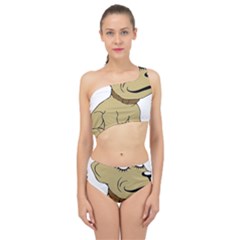 Dog Cute Sitting Puppy Pet Spliced Up Two Piece Swimsuit