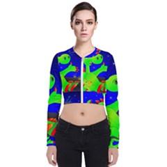 Dragon Grisu Mythical Creatures Bomber Jacket