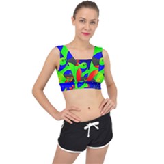 Dragon Grisu Mythical Creatures V-back Sports Bra