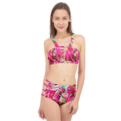 Flamingo   Child Of Dawn 5 Cage Up Bikini Set