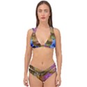 June Gloom 2 Double Strap Halter Bikini Set View1