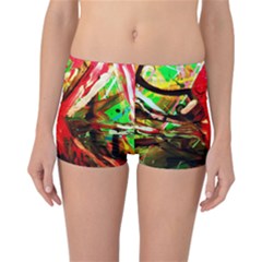 Flamingo   Child Of Dawn 4 Reversible Boyleg Bikini Bottoms by bestdesignintheworld