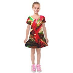 Flamingo   Child Of Dawn 4 Kids  Short Sleeve Velvet Dress by bestdesignintheworld