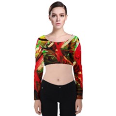 Flamingo   Child Of Dawn 4 Velvet Crop Top by bestdesignintheworld