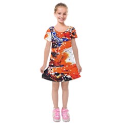 Smashed Butterfly 2 Kids  Short Sleeve Velvet Dress