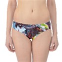 Eden Garden 12 Hipster Bikini Bottoms View1