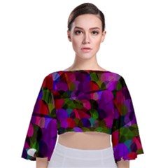 Geometric Tie Back Butterfly Sleeve Chiffon Top