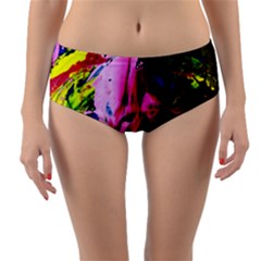 Global Warming 6 Reversible Mid-waist Bikini Bottoms by bestdesignintheworld