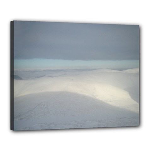 Cheviot Canvas 20  X 16 