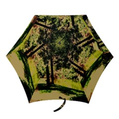 Hot Day In Dallas 25 Mini Folding Umbrellas by bestdesignintheworld