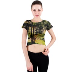 Hot Day In Dallas 25 Crew Neck Crop Top by bestdesignintheworld