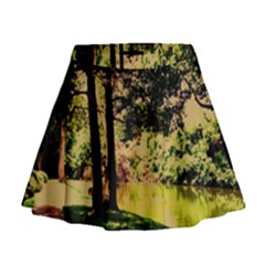 Hot Day In Dallas 25 Mini Flare Skirt by bestdesignintheworld