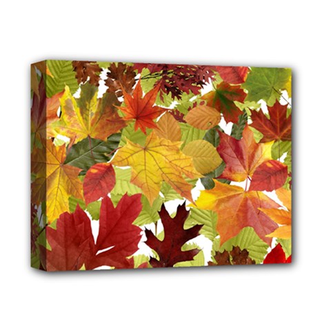 Autumn Fall Leaves Deluxe Canvas 14  X 11  by LoolyElzayat