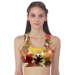 Autumn Fall Leaves Sports Bra by LoolyElzayat