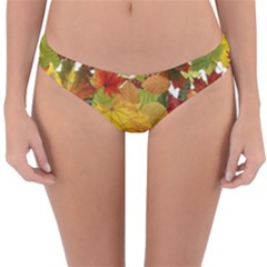 Autumn Fall Leaves Reversible Hipster Bikini Bottoms by LoolyElzayat