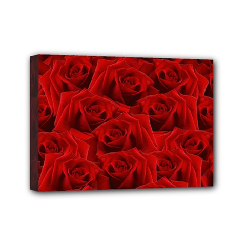 Romantic Red Rose Mini Canvas 7  X 5  by LoolyElzayat