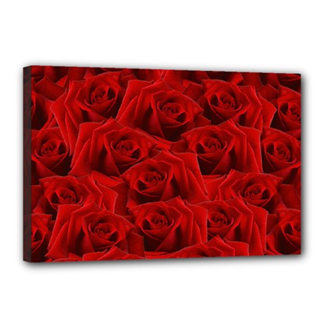 Romantic Red Rose Canvas 18  X 12  by LoolyElzayat