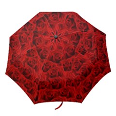 Romantic Red Rose Folding Umbrellas by LoolyElzayat