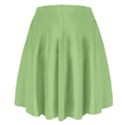 Mod Twist Stripes Green And White High Waist Skirt View2