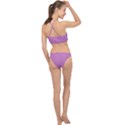 Mod Twist Stripes Pink And White Racer Front Bikini Set View2