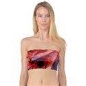 Wine Partner Wild Vine Leaves Plant Bandeau Top View1