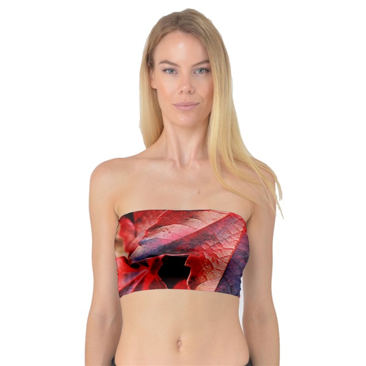 Wine Partner Wild Vine Leaves Plant Bandeau Top