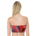 Wine Partner Wild Vine Leaves Plant Bandeau Top View2